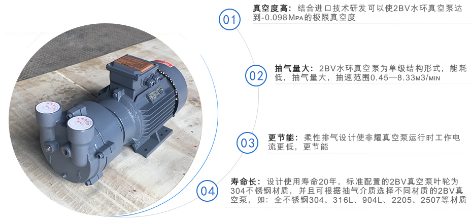 2BV系列水環(huán)式真空泵